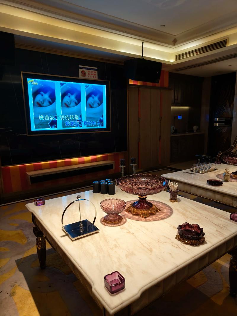 天水商务KTV：你必须体验的商务娱乐场所-麦积区ktv预订